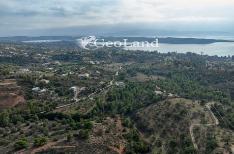 Αγροτεμάχια 4.500τ.μ. για πώληση-Κρανίδι » Πορτοχέλι