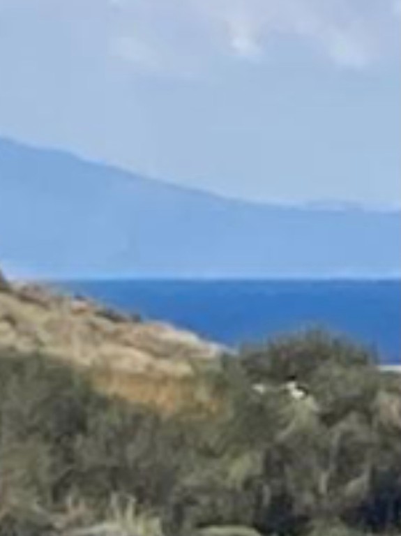 Οικόπεδο 82.000 τ.μ. προς πώληση, Πάνερμος