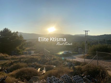 Αγροτεμάχια 6.138τ.μ. για πώληση-Κερατέα » Κέντρο