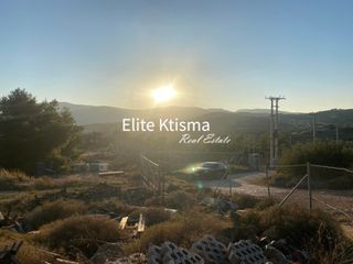 Αγροτεμάχια 6.138 τ.μ. για πώληση