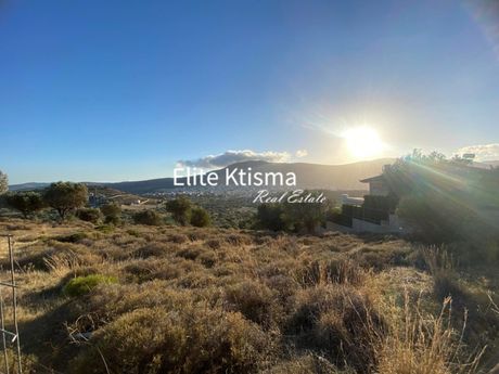 Αγροτεμάχια 8.300τ.μ. για πώληση-Κερατέα » Μήλος