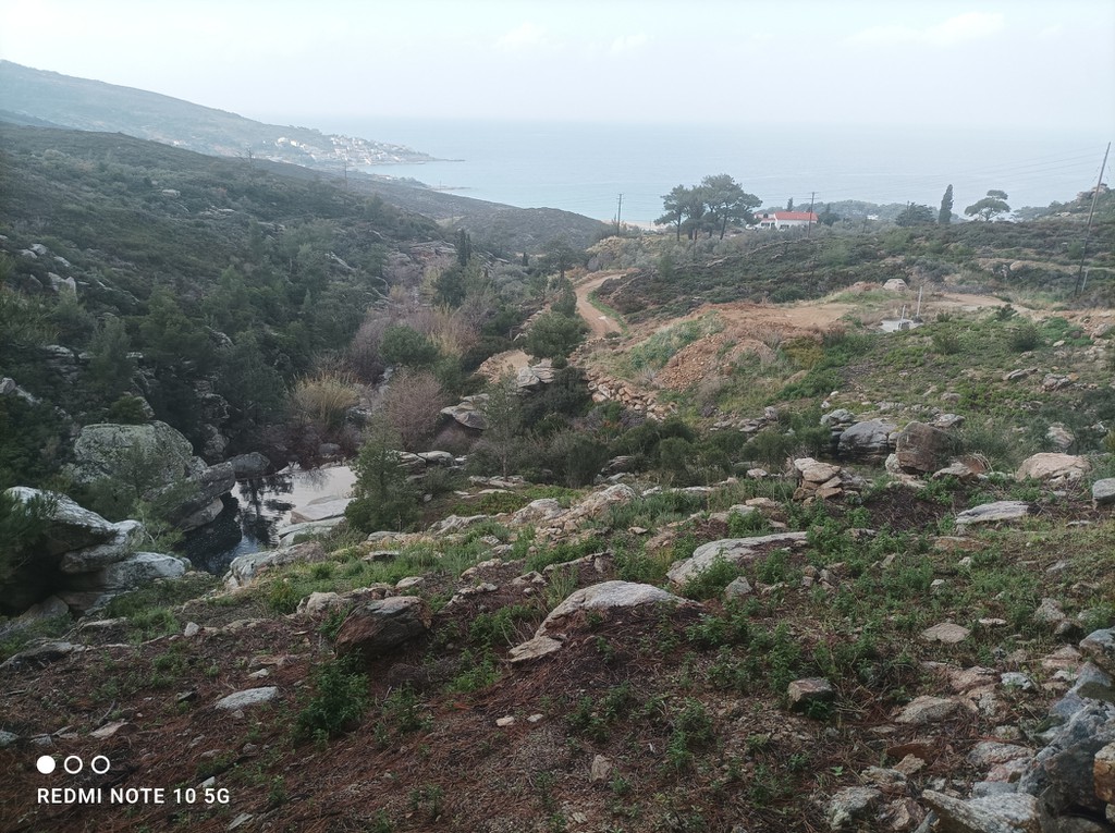 Αγροτεμάχια 4.302 τ.μ. για πώληση, Ν. Σάμου, Ικαρία