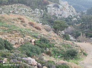 Αγροτεμάχια 4.302 τ.μ. για πώληση, Ν. Σάμου, Ικαρία-thumb-2