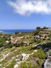 Αγροτεμάχια 4.302 τ.μ. για πώληση, Ν. Σάμου, Ικαρία-thumb-4