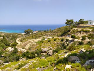 Αγροτεμάχια 4.302 τ.μ. για πώληση, Ν. Σάμου, Ικαρία-thumb-5