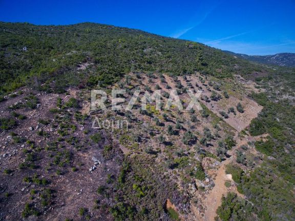 Αγροτεμάχια 5.900 τ.μ. για πώληση, Σποράδες, Αλόννησος