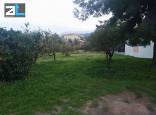 Οικόπεδο 780 τ.μ. για πώληση