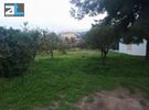 Land plot 780sqm for sale-Rio » Kato Arachovitika