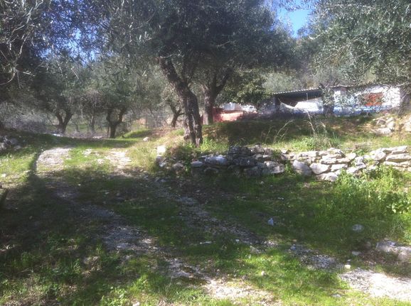 Αγροτεμάχια 5.000 τ.μ. για πώληση, Θεσπρωτία, Πέρδικα