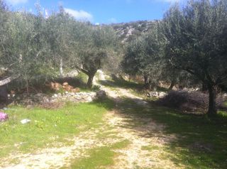 Αγροτεμάχια 5.000 τ.μ. για πώληση, Θεσπρωτία, Πέρδικα-thumb-1
