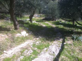 Αγροτεμάχια 5.000 τ.μ. για πώληση, Θεσπρωτία, Πέρδικα-thumb-2