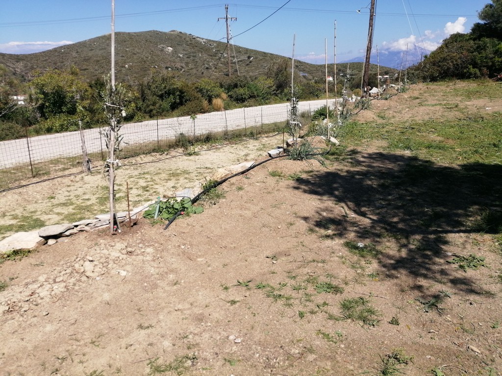 Parking 400 τ.μ. προς ενοικίαση, Άγιος Κήρυκος Ικαρίας