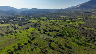 Αγροτεμάχια 5.000 τ.μ. για πώληση, Αργολίδα, Ερμιόνη-thumb-21