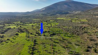 Αγροτεμάχια 5.000 τ.μ. για πώληση, Αργολίδα, Ερμιόνη-thumb-3