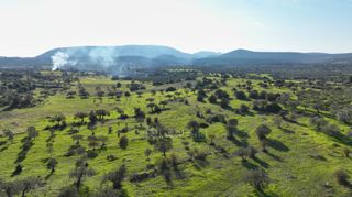 Αγροτεμάχια 5.000 τ.μ. για πώληση, Αργολίδα, Ερμιόνη-thumb-15