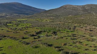 Αγροτεμάχια 5.000 τ.μ. για πώληση, Αργολίδα, Ερμιόνη-thumb-9