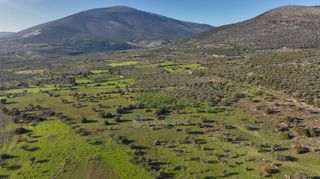 Αγροτεμάχια 5.000 τ.μ. για πώληση, Αργολίδα, Ερμιόνη-thumb-13