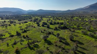 Αγροτεμάχια 5.000 τ.μ. για πώληση, Αργολίδα, Ερμιόνη-thumb-10