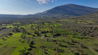 Αγροτεμάχια 5.000 τ.μ. για πώληση, Αργολίδα, Ερμιόνη-thumb-19