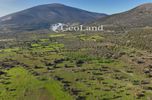 Land plot 5.000sqm for sale-Ermioni » Iliokastro