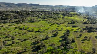 Αγροτεμάχια 5.000 τ.μ. για πώληση, Αργολίδα, Ερμιόνη-thumb-16