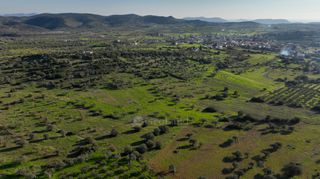 Αγροτεμάχια 5.000 τ.μ. για πώληση, Αργολίδα, Ερμιόνη-thumb-7