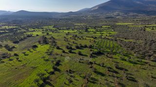 Αγροτεμάχια 5.000 τ.μ. για πώληση, Αργολίδα, Ερμιόνη-thumb-20