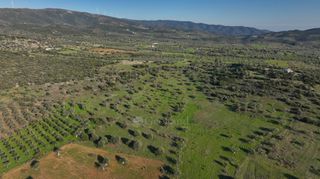 Αγροτεμάχια 5.000 τ.μ. για πώληση, Αργολίδα, Ερμιόνη-thumb-11