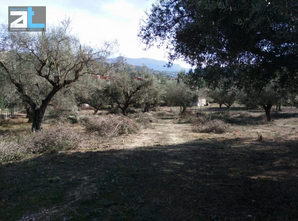 Οικόπεδο 1.450 τ.μ. προς πώληση, Αχαΐα, Παραλία
