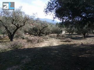 Οικόπεδο 1.450 τ.μ. για πώληση, Αχαΐα, Παραλία-thumb-1