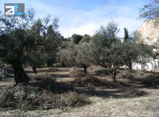 Οικόπεδο 1.450 τ.μ. για πώληση