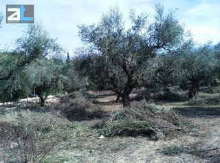 Οικόπεδο 1.450 τ.μ. για πώληση, Αχαΐα, Παραλία-thumb-4