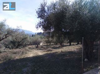 Οικόπεδο 1.450 τ.μ. για πώληση, Αχαΐα, Παραλία-thumb-14