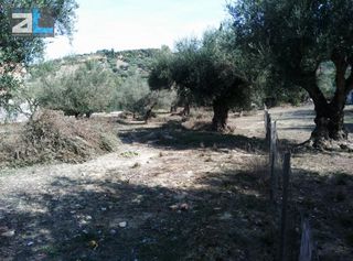 Οικόπεδο 1.450 τ.μ. για πώληση, Αχαΐα, Παραλία-thumb-9