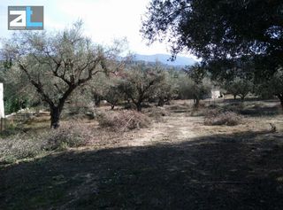 Οικόπεδο 1.450 τ.μ. για πώληση, Αχαΐα, Παραλία-thumb-5