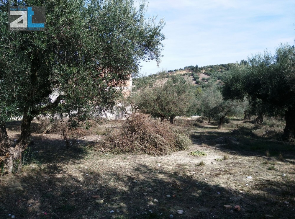 Οικόπεδο 1.450 τ.μ. προς πώληση, Αχαΐα, Παραλία