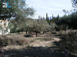 Οικόπεδο 1.450 τ.μ. για πώληση, Αχαΐα, Παραλία-thumb-13