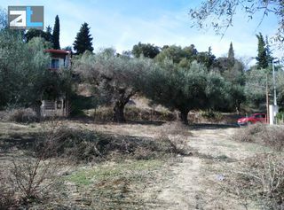 Οικόπεδο 1.450 τ.μ. για πώληση, Αχαΐα, Παραλία-thumb-12