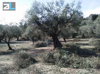 Οικόπεδο 1.450 τ.μ. για πώληση, Αχαΐα, Παραλία-thumb-8
