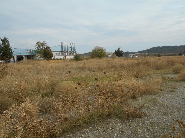 Αγροτεμάχια 9.300 τ.μ. πρός πώληση, Εβρος, Αλεξανδρούπολη