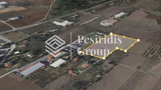 Αγροτεμάχια 11.630 τ.μ. για πώληση