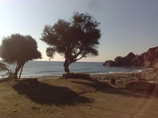 Αγροτεμάχια 8.000 τ.μ. για πώληση, Ν. Λέσβου, Λέσβος - Γέρας-thumb-1