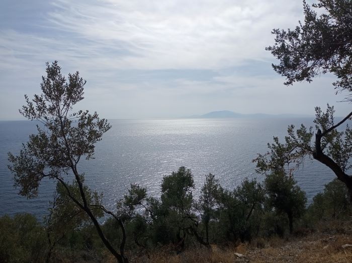 Αγροτεμάχια 3.026 τ.μ. για πώληση, Ν. Λέσβου, Λέσβος - Γέρας