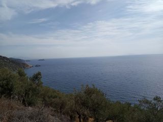 Αγροτεμάχια 3.026 τ.μ. για πώληση, Ν. Λέσβου, Λέσβος - Γέρας-thumb-2