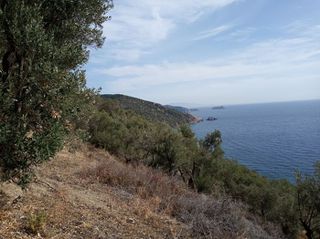 Αγροτεμάχια 3.026 τ.μ. για πώληση, Ν. Λέσβου, Λέσβος - Γέρας-thumb-5