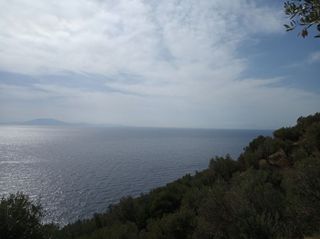Αγροτεμάχια 3.026 τ.μ. για πώληση, Ν. Λέσβου, Λέσβος - Γέρας-thumb-7