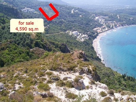Οικόπεδο 4.600τ.μ. για πώληση-Πέρδικα » Αρίλλας