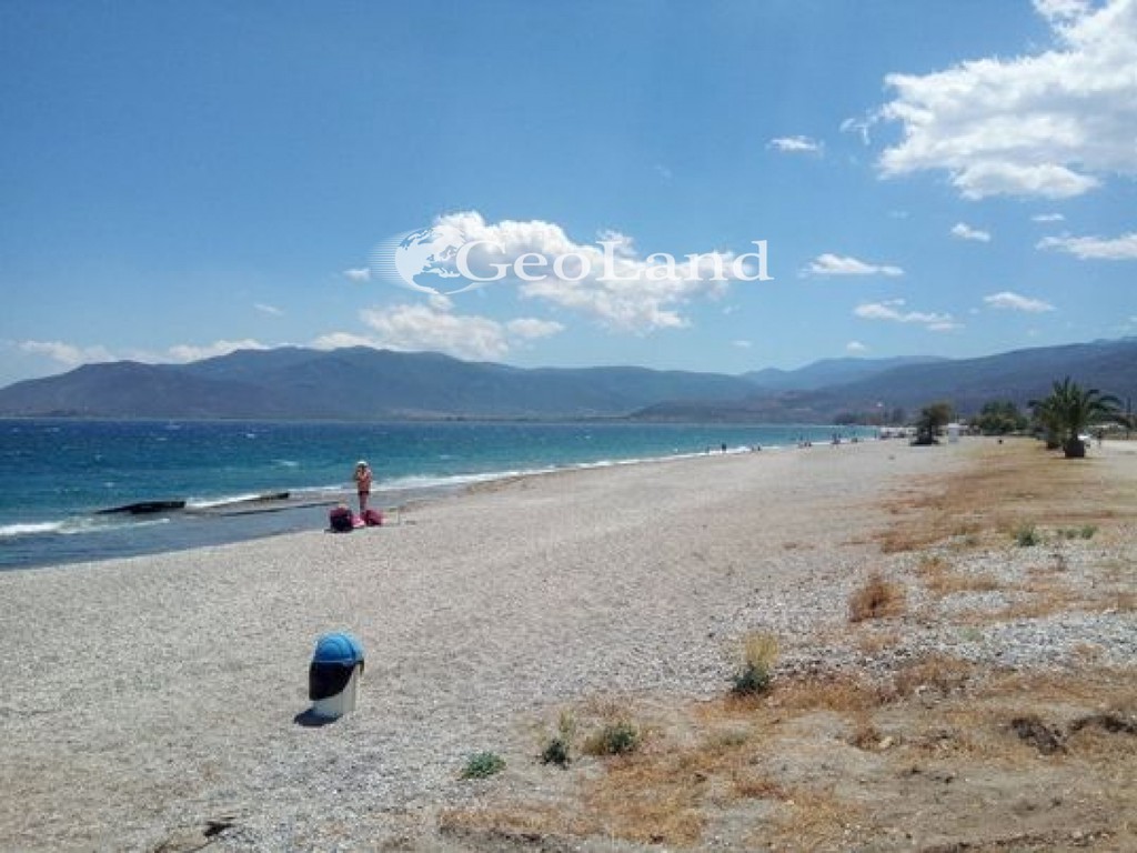 Οικόπεδο 2.031 τ.μ. προς πώληση, Άστρος