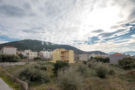 Οικόπεδο 1.195 τ.μ. για πώληση