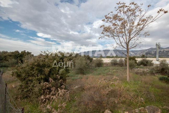 Οικόπεδο 300 τ.μ. για πώληση, Μαγνησία, Βόλος